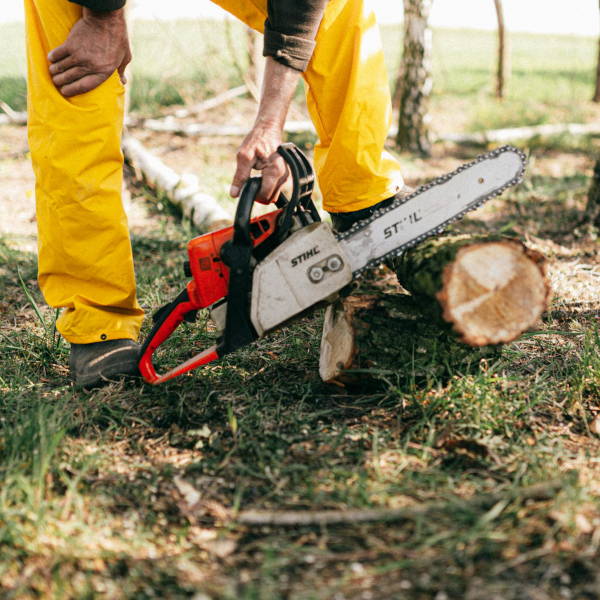 Tree Surgery Services